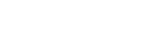 Investor 1