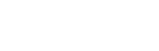 Investor 7